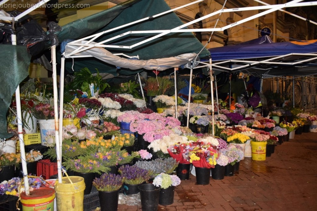 Blommemark flower market Adderley street